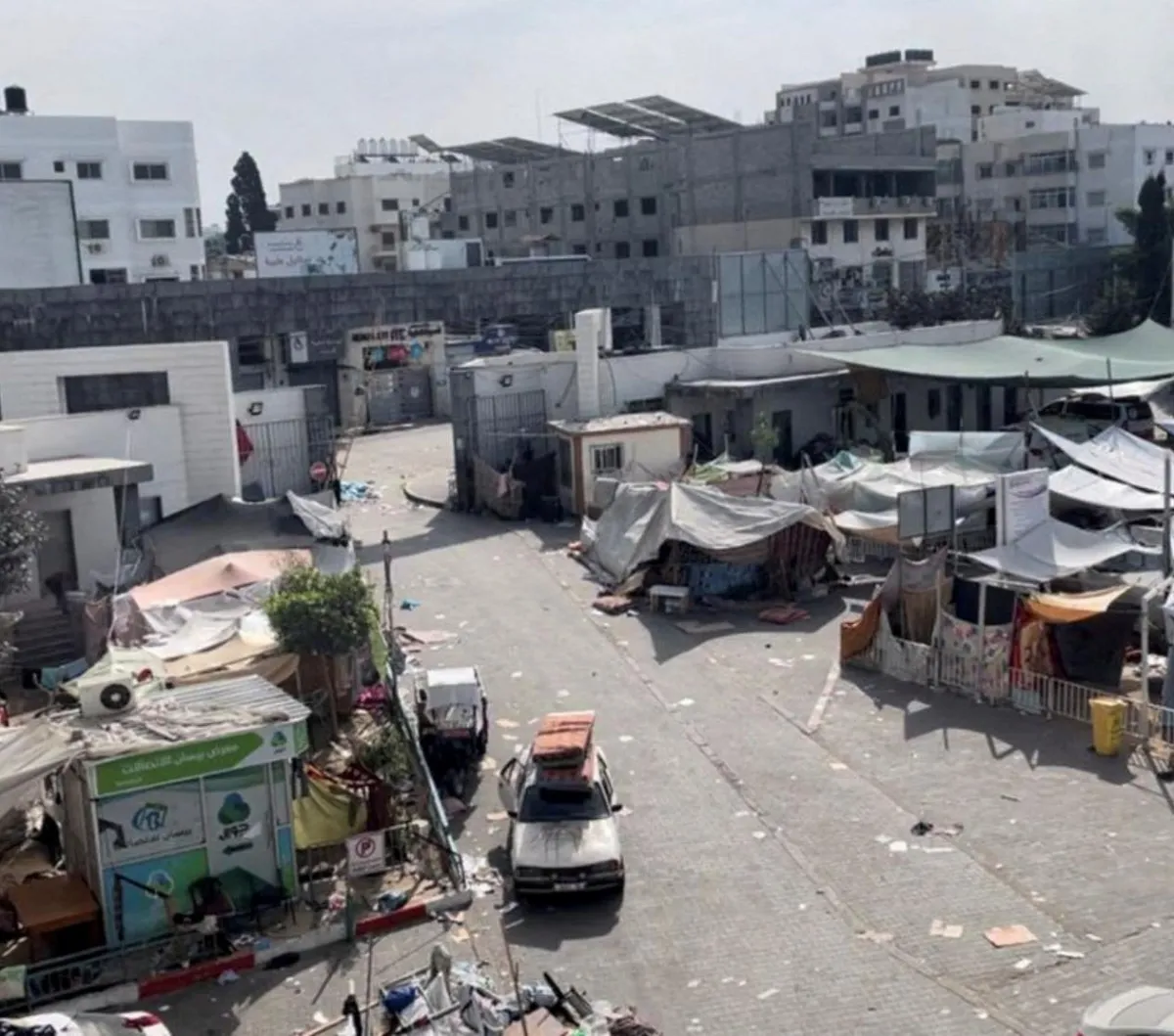 Produk Palestina Ternyata Banyak Beredar di Indonesia, Dapat Insentif Bebas Bea Masuk