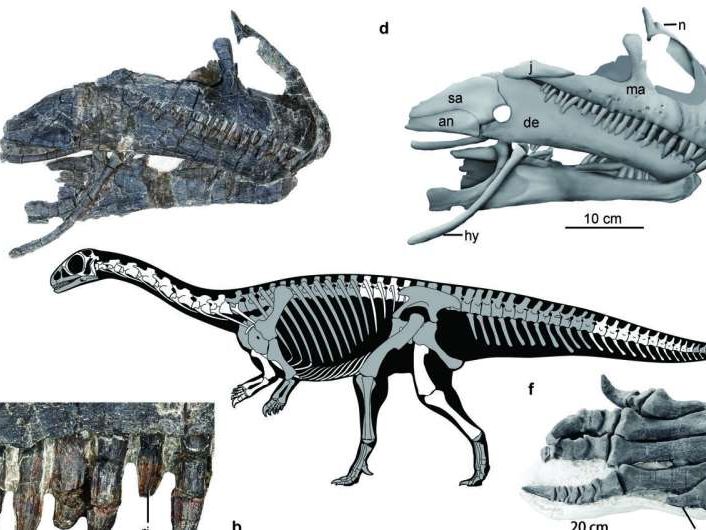 Ilmuwan Ungkap Bentuk Telur Dinosaurus Pertama, Ternyata Tidak Seperti yang Kita Bayangkan