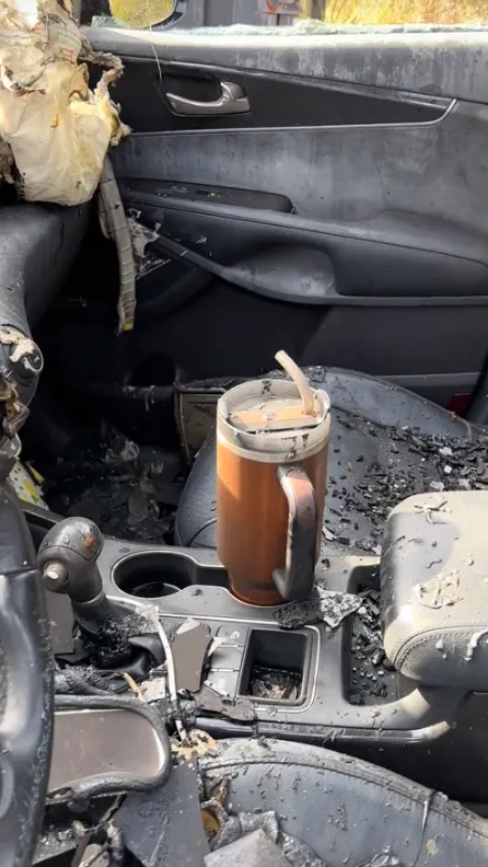 Viral Wanita Dapat Hadiah Mobil Baru Usai Pamer Tumbler Utuh dari Kebakaran<br>