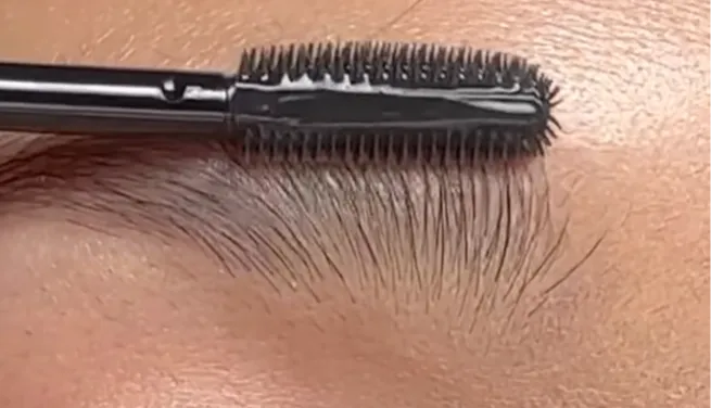 2. Pakai Brow Soap/Brow Setter