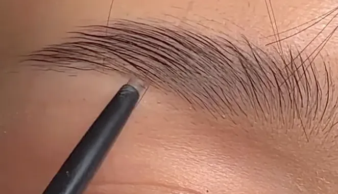 4. Pakai Pensil Alis