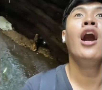 Viral karena Keindahannya, Ini 6 Fakta Curug Walet di Bogor yang Jarang Diketahui