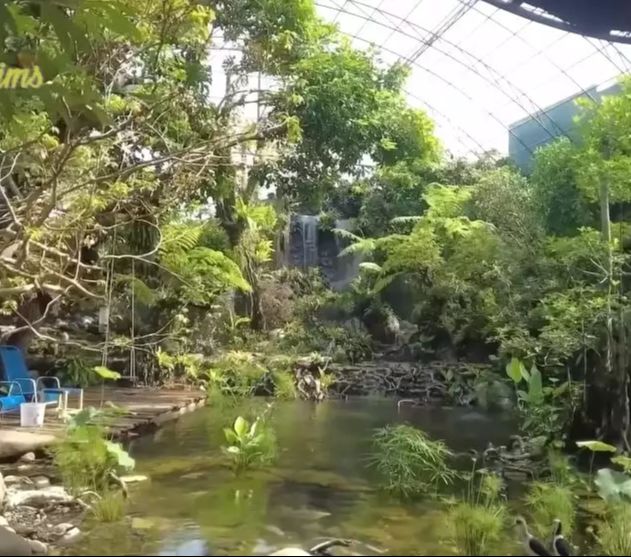 Aviary
