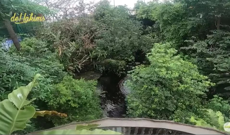 Koleksi Binatang