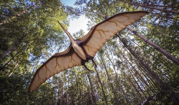Seukuran Jet Tempur