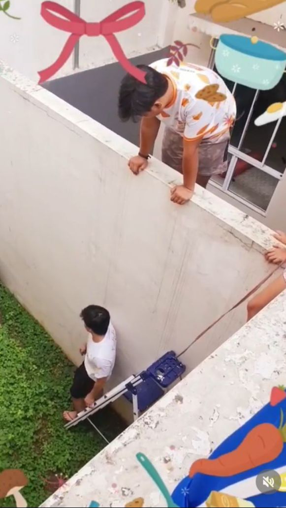 Halaman belakang rumah tampak hijau ditumbuhi oleh rerumputan