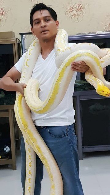 Lucky Hakim memiliki kurang lebih 300 satwa yang dipelihara di kediamannya. Mulai dari reptil hingga primata eksotis.