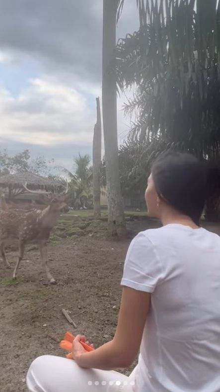 Raline Shah memiliki kebun binatang mini yang dihuni beberapa hewan, seperti burung hingga rusa.
