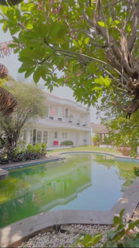 Di belakang rumah terdapat sebuah kolam renang yang berukuran sangat besar. Saat itu, kolam renang masih belum dibersihkan.
