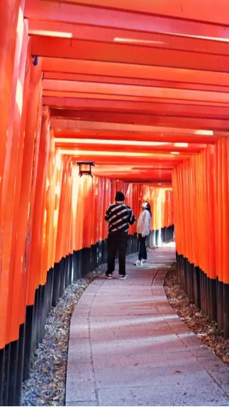 12 Potret Fushimi Inari Taisha, Kuil 10.000 Gerbang di Kyoto yang ...