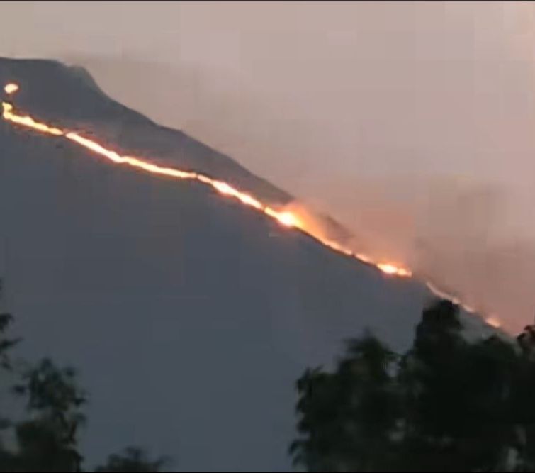 Kebakaran Terjadi Di Gunung Penanggungan, Jalur Pendakian Ditutup