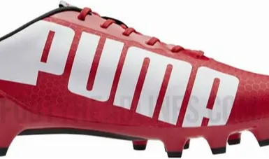 1. Puma<br>