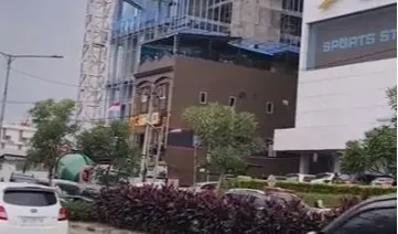 Banguna Cokelat di Antara Gedung Tinggi