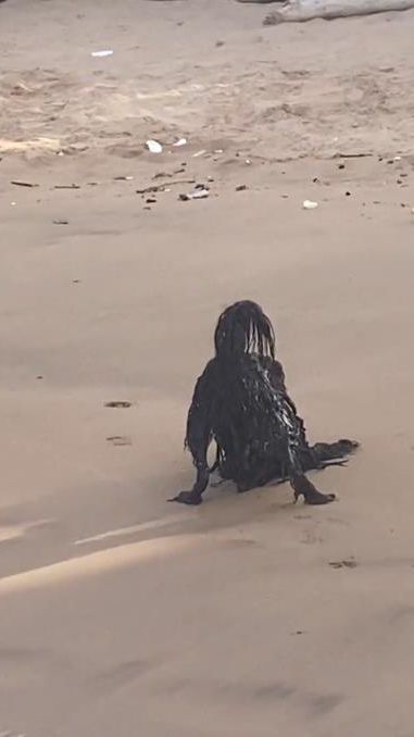 Deretan 8 Potret Penampakan Hantu yang Keluyuran di Siang Bolong, Bukannya Bikin Takut Malah Gemesin