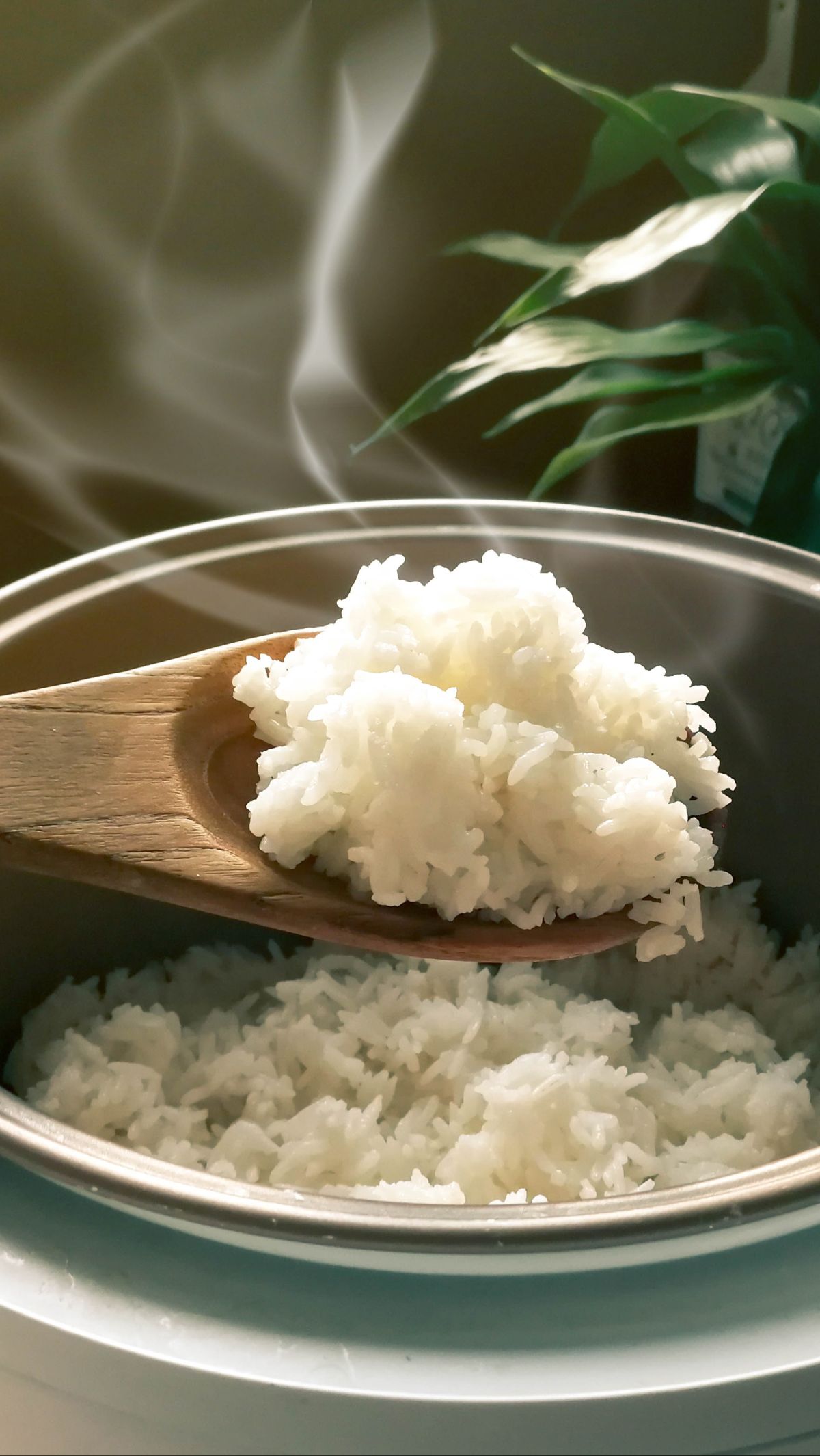8 Tips Membersihkan Rice Cooker Agar Tidak Berkerak dan Tidak Bikin Nasi Cepat Basi
