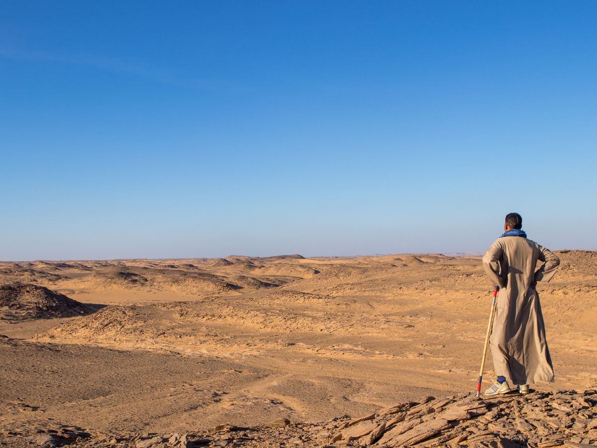 Israel Gencar Menanam Pohon Gharqad