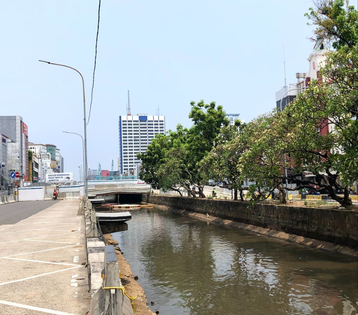 Heboh Warga Tangkap Ikan Mujair Nyangkut di Kali Ciliwung, Dinas KPKP: Aman Dikonsumsi