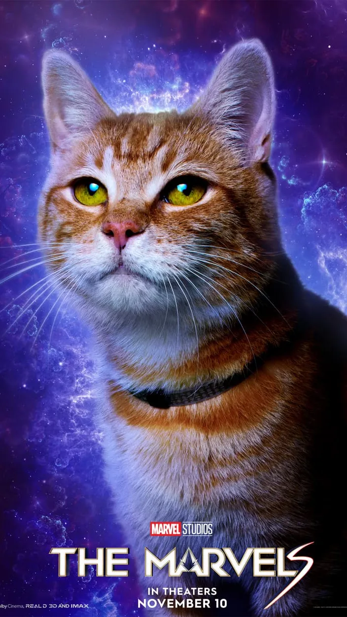 Film ini juga menyajikan kejutan bagi pencinta hewan, khususnya kucing, dengan puluhan kucing menggemaskan yang hadir di berbagai adegan.