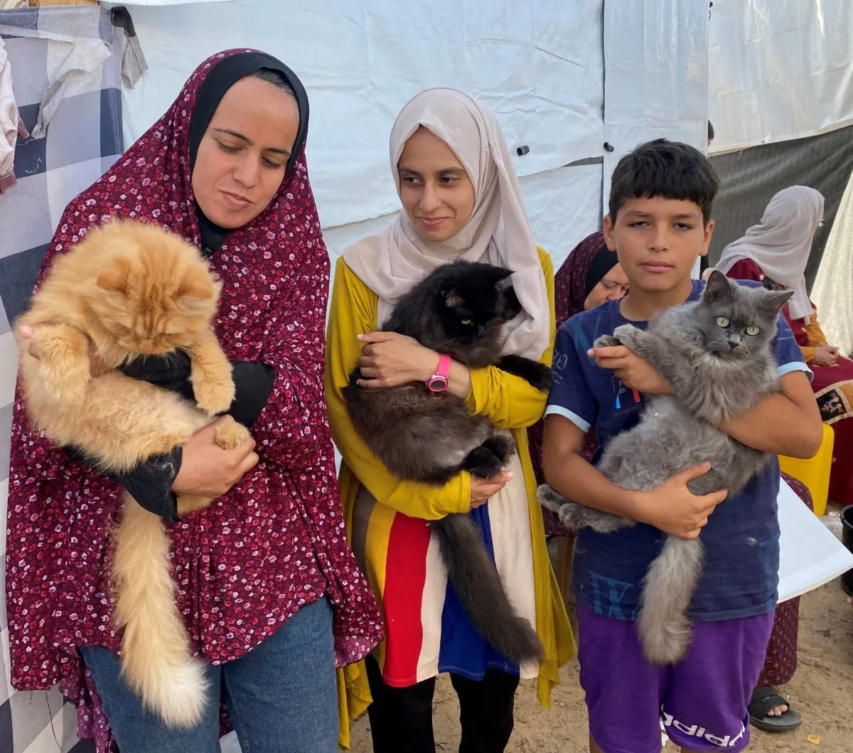 FOTO: Tiga Ekor Kucing Lucu Ini Bawa Kegembiraan Anak-Anak Palestina di