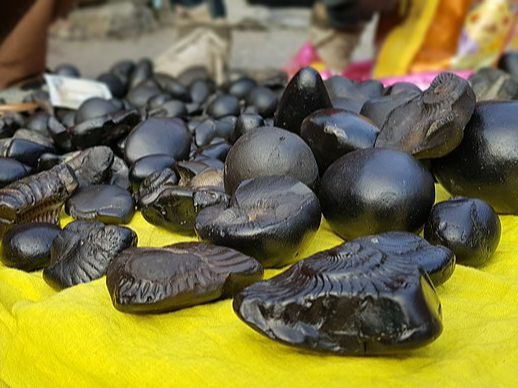 Langka dan Terancam Punah