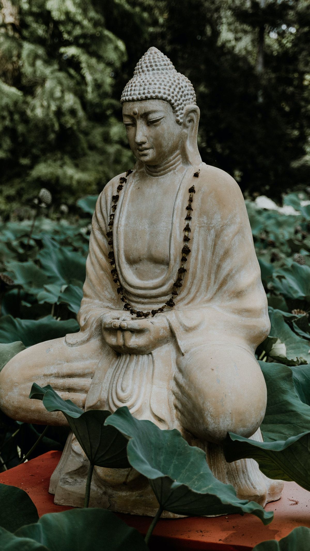 Sejak 2000 Tahun Lalu Hingga Kini, Umat Hindu dan Buddha Menyembah Fosil Hewan Langka Ini