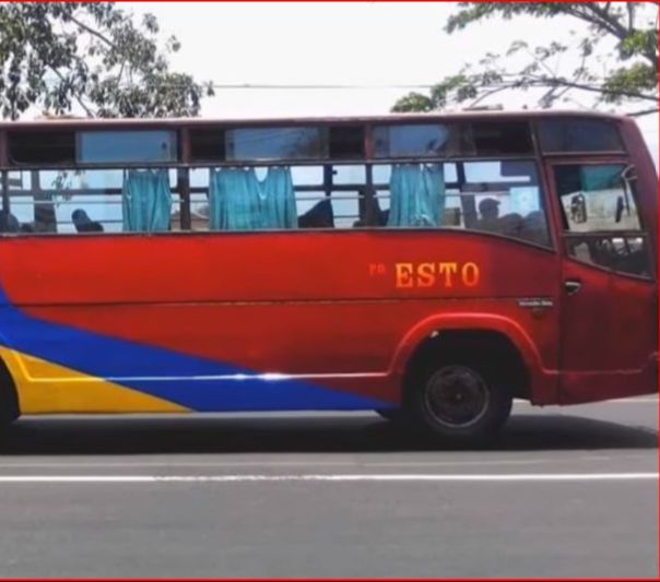 sejarah po bus pariwisata