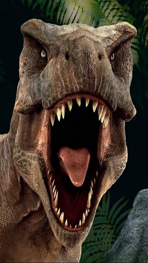 Pria Ini Tak Sengaja Temukan Jejak Dinosaurus di Pantai, Jarinya Jelas Banget!