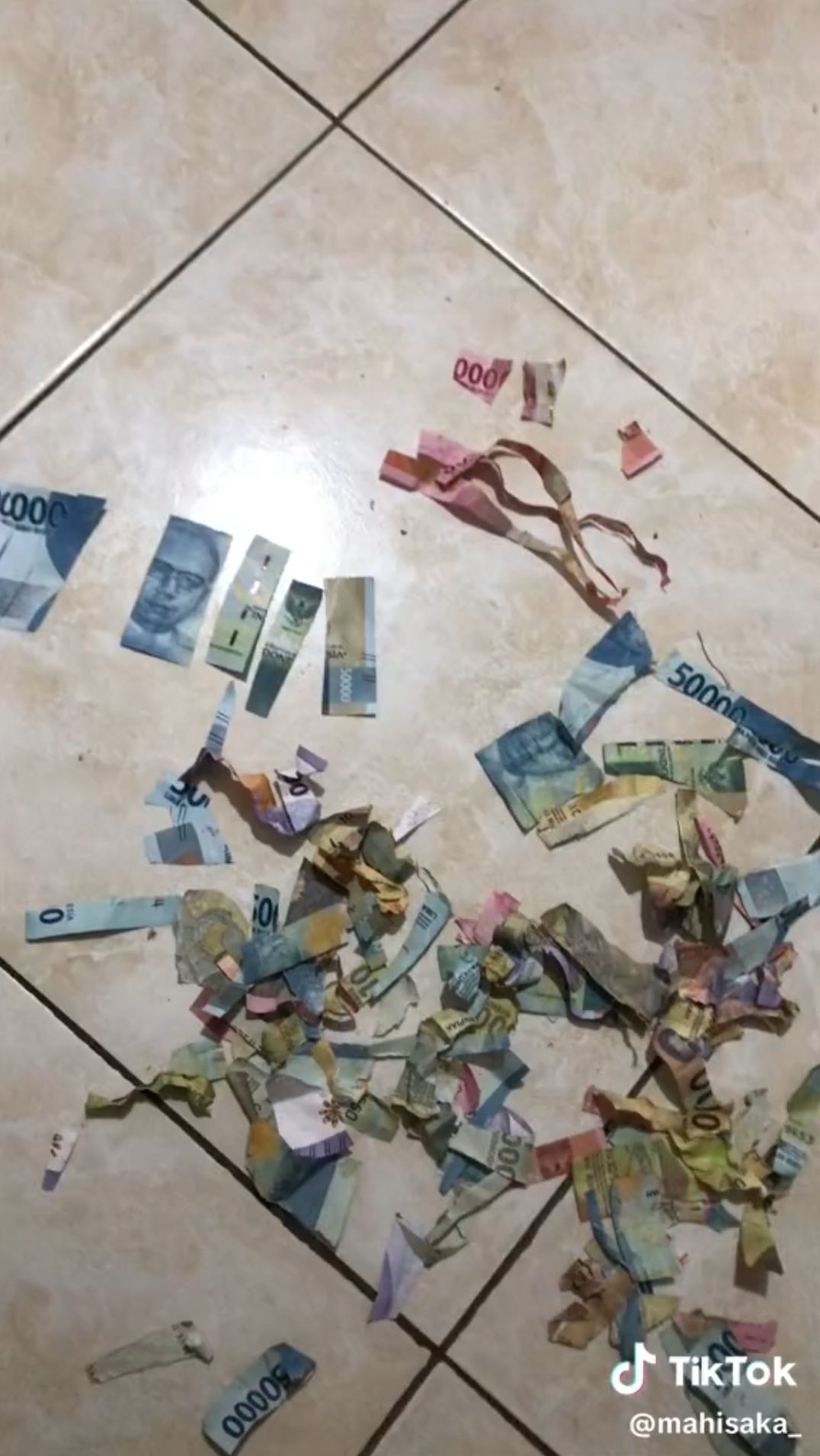Nyesek Banget! Ibu Temukan Putrinya Gunting Uang Rp100 Ribu dan Rp50 Ribu hingga Jadi Potongan Kecil, Uang Belanja Sirna