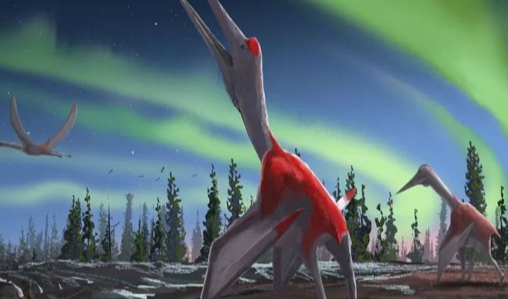 Inilah rupa makhluk purba Cryodrakon boreas