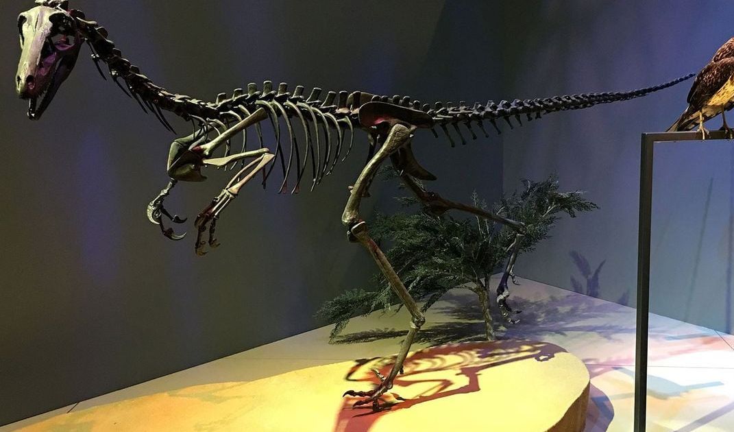 3. Dinosaurus bertaring mengunyah tanaman.