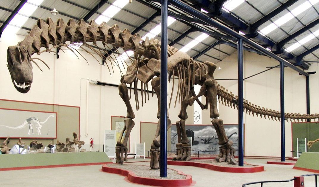 4.Raksasa-raksasa dinosaurus berevolusi berulang kali.