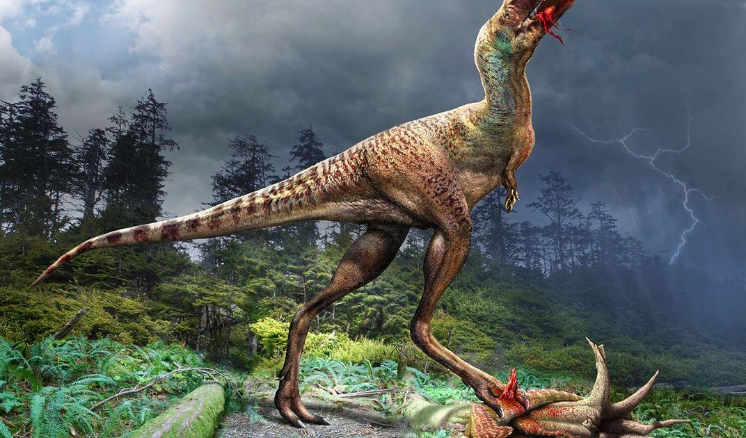 5. Tiranosaurus memakan dinosaurus lain sebagai santapan terakhirnya.