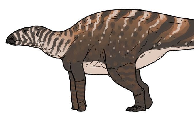 7. Ilmuwan menemukan dinosaurus baru di wilayah selatan.
