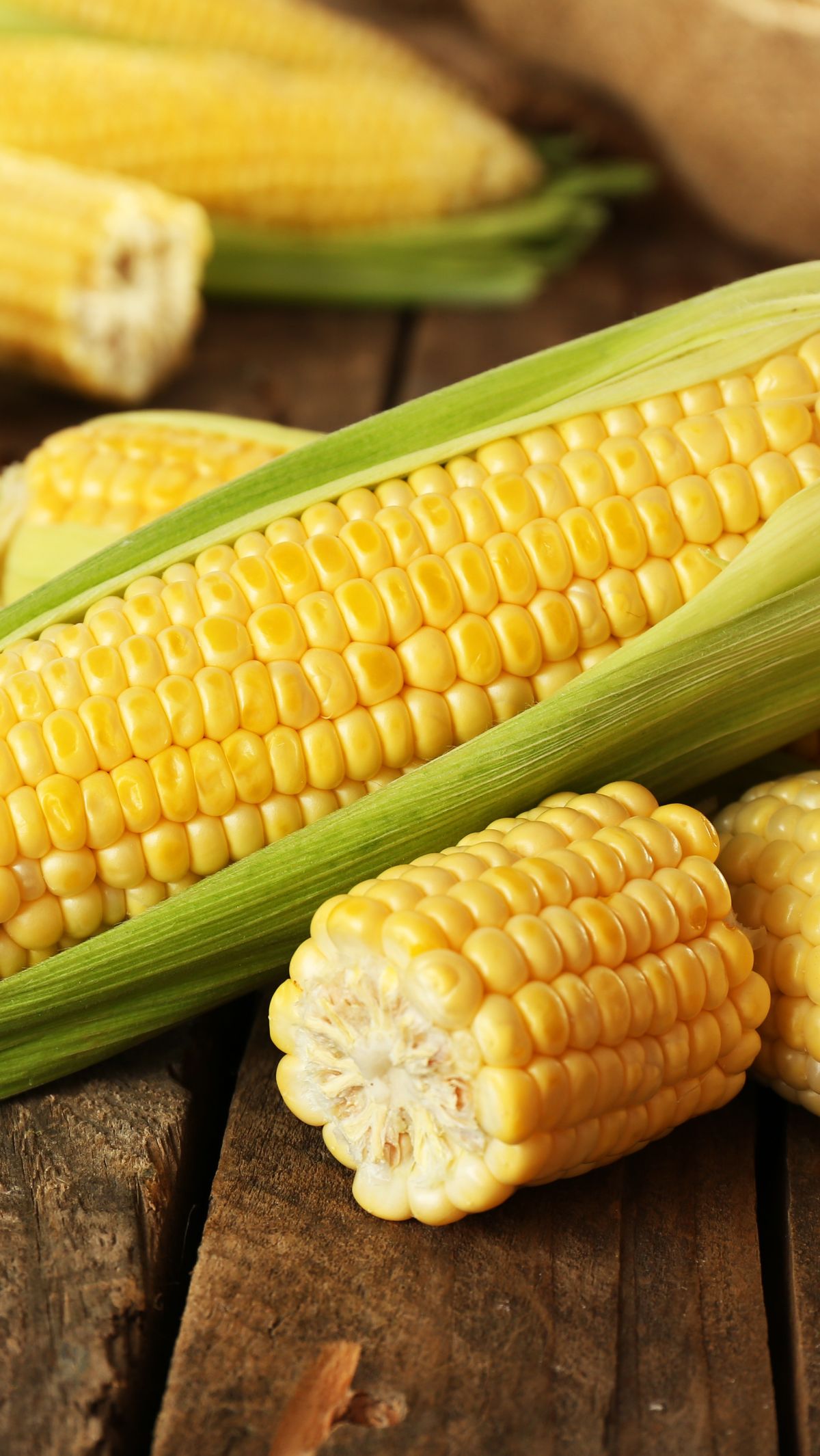 Cara Simpan Jagung Mentah, Tetap Segar, dan Bernutrisi