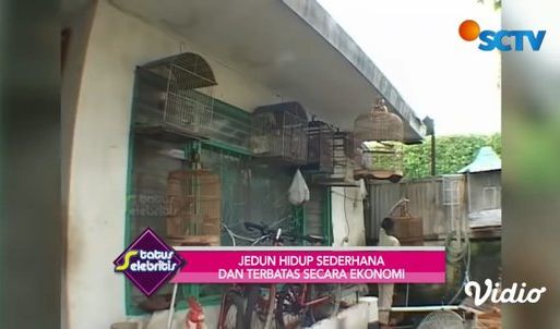 Kandang Burung