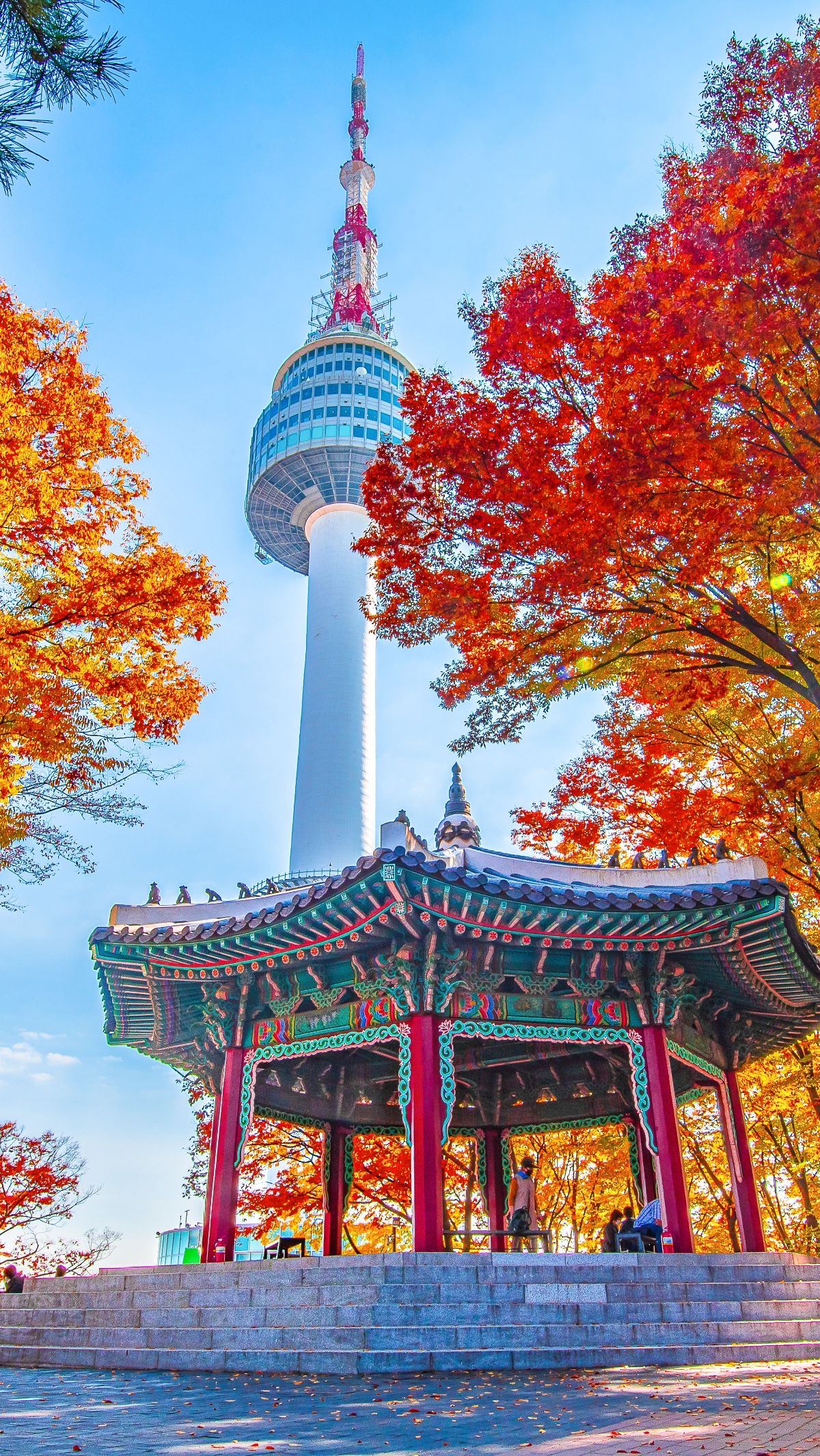 Korea Selatan Bakal Luncurkan Visa Digital Nomad, Turis Bisa Tinggal Sampai 2 Tahun