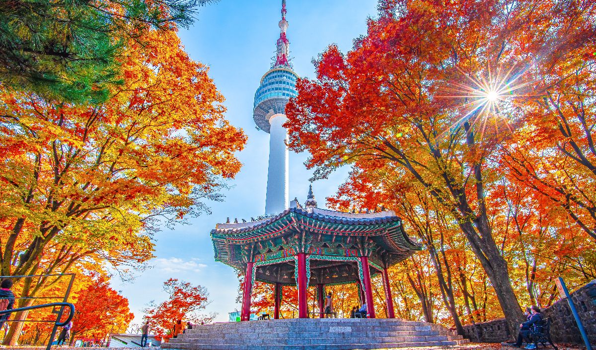 Visa Digital Nomad