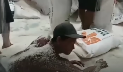 Saat proses pengarungan kembali beras sobek karena proses handling beras impor dari kapal sampai ke gudang,