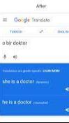 Google Translate