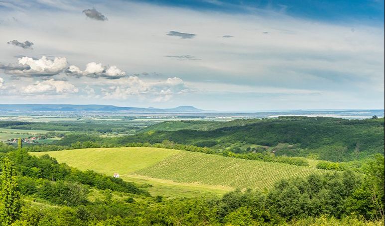 Kawasan Pannonia adalah area yang memiliki pusat di Hungaria modern dan beberapa negara di Eropa Tengah.