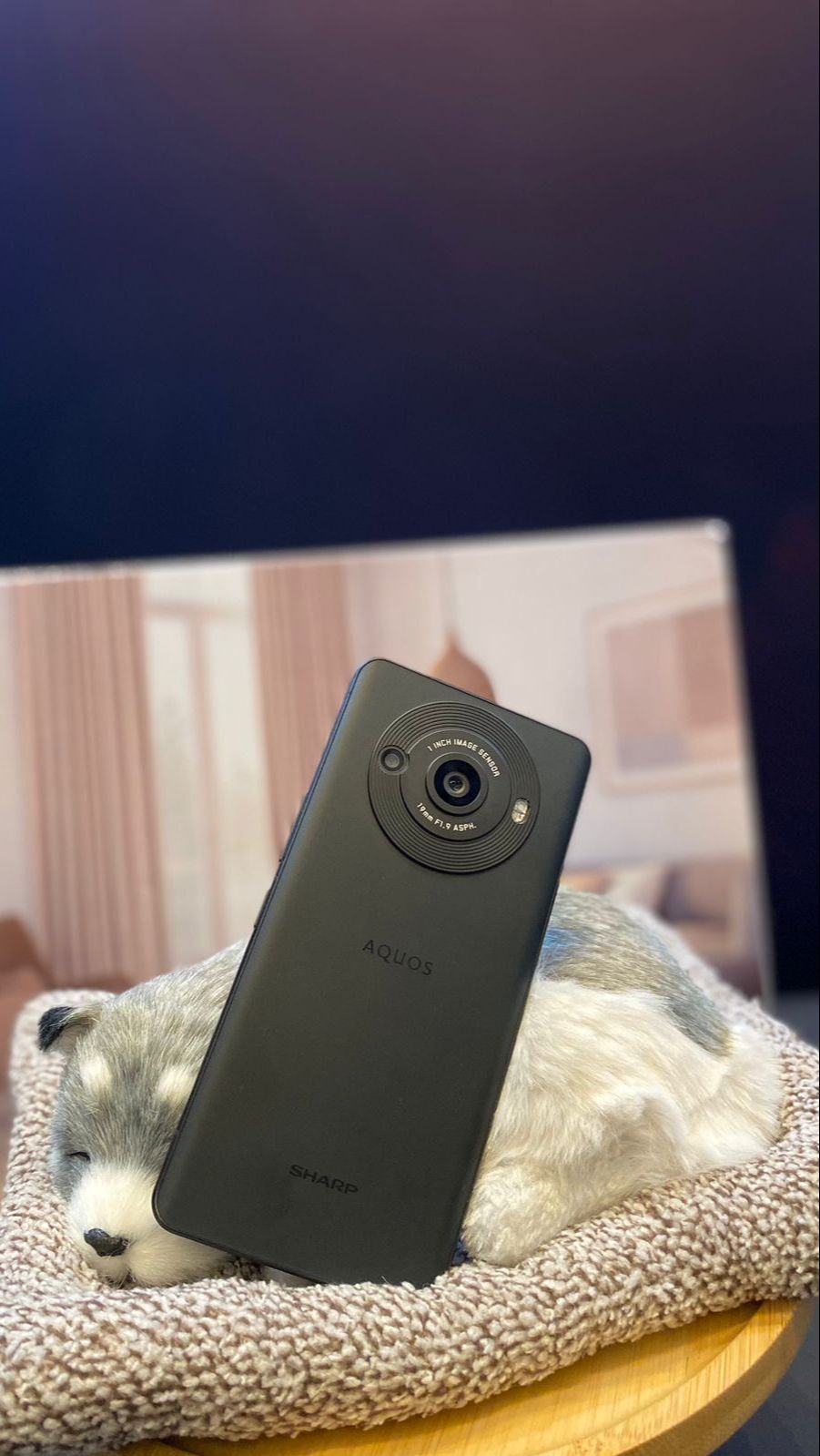 Sharp Rilis HP Anyar R8s Series, Fitur Kamera Bisa Potret Bintang dengan Jelas