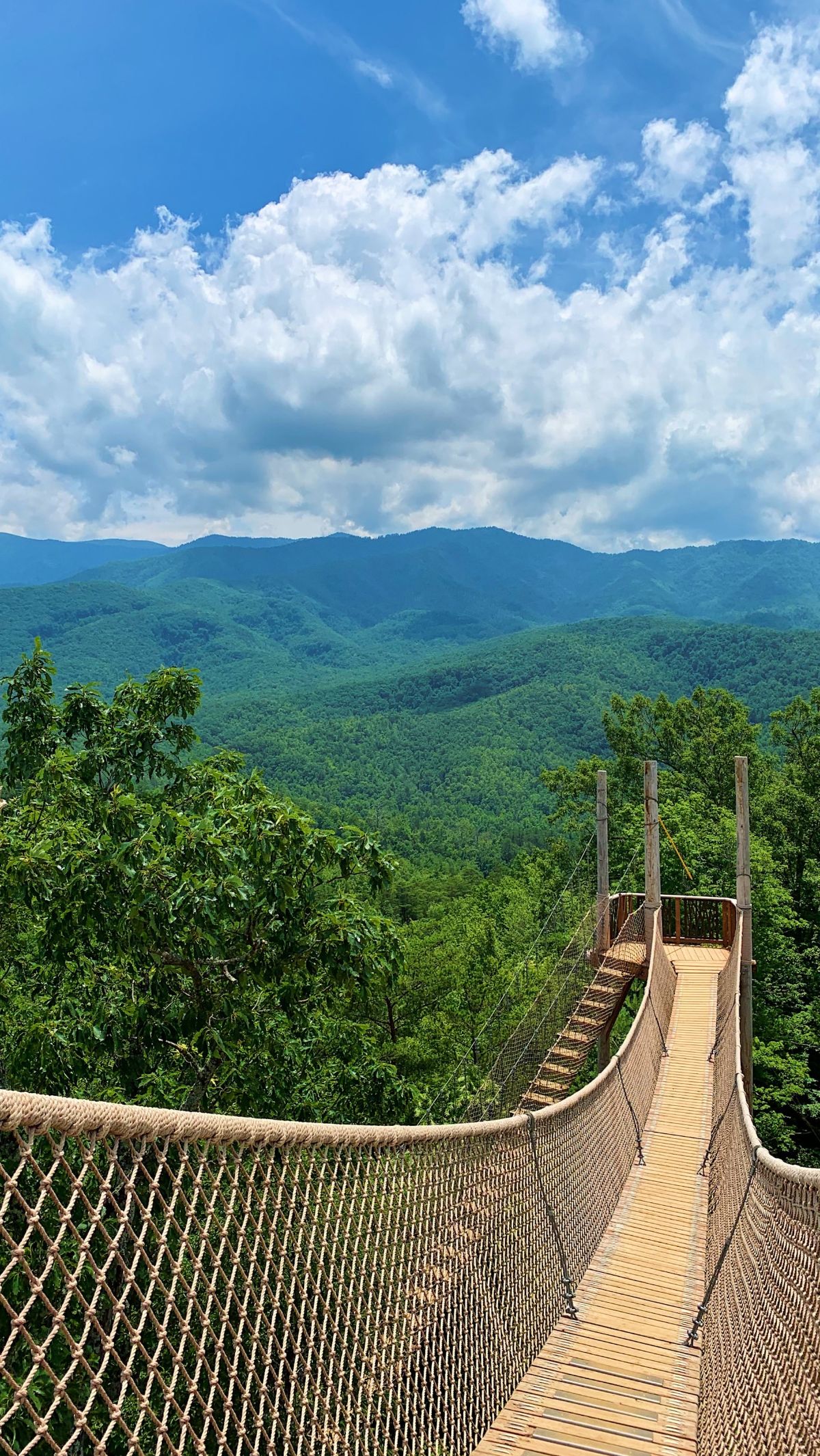 Things To Do In Gatlinburg Tennessee: 7 Signature Attractions to ...