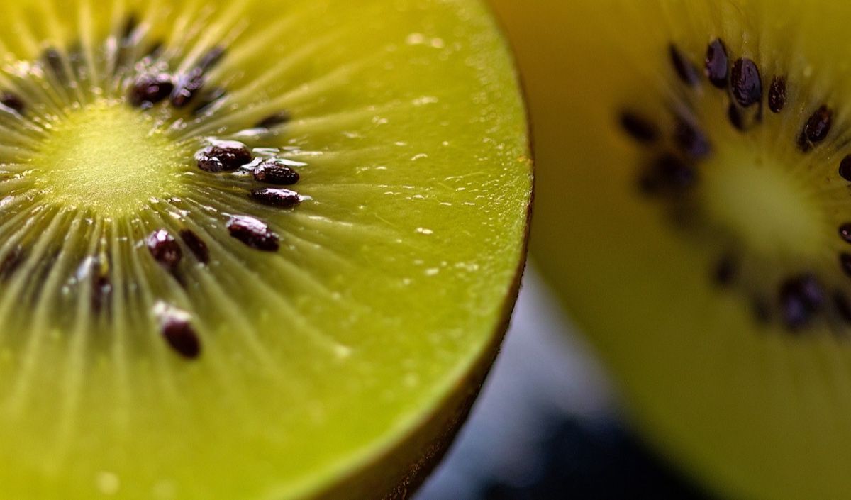 1. Kiwi