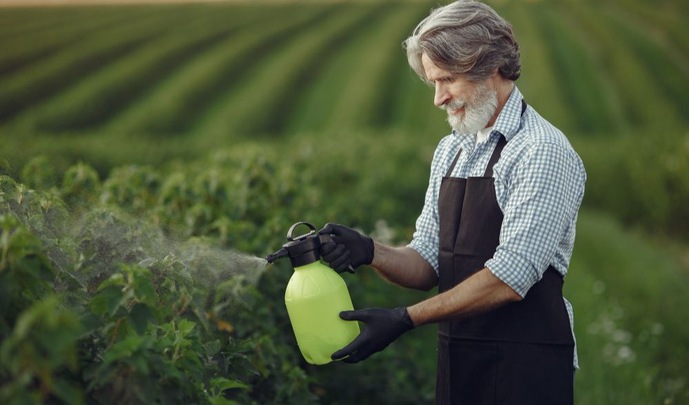 How To Get Rid Of Gnats In Plants With 3 Simple Methods | trstdly