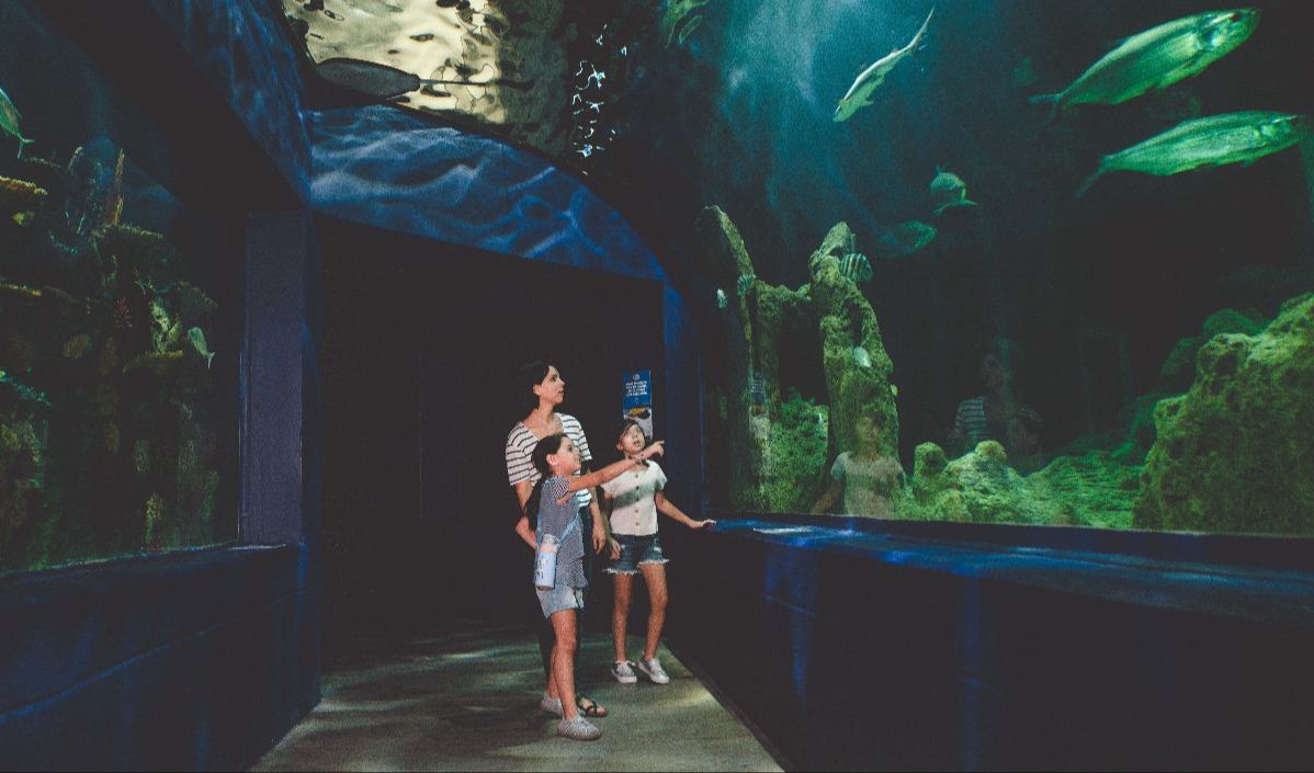 Tempat Wisata yang Cocok Dikunjungi saat Musim Hujan
