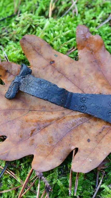 Penemuan Kapak Perunggu dari Masa 1.700 SM, Ternyata Tidak untuk Memotong