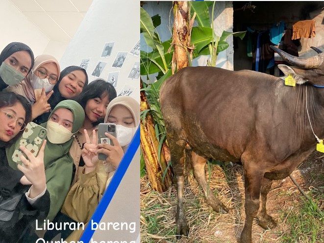 Kompak Banget, 7 Wanita Bersahabat Ini Rela Nabung Bareng Demi Kurban Sapi