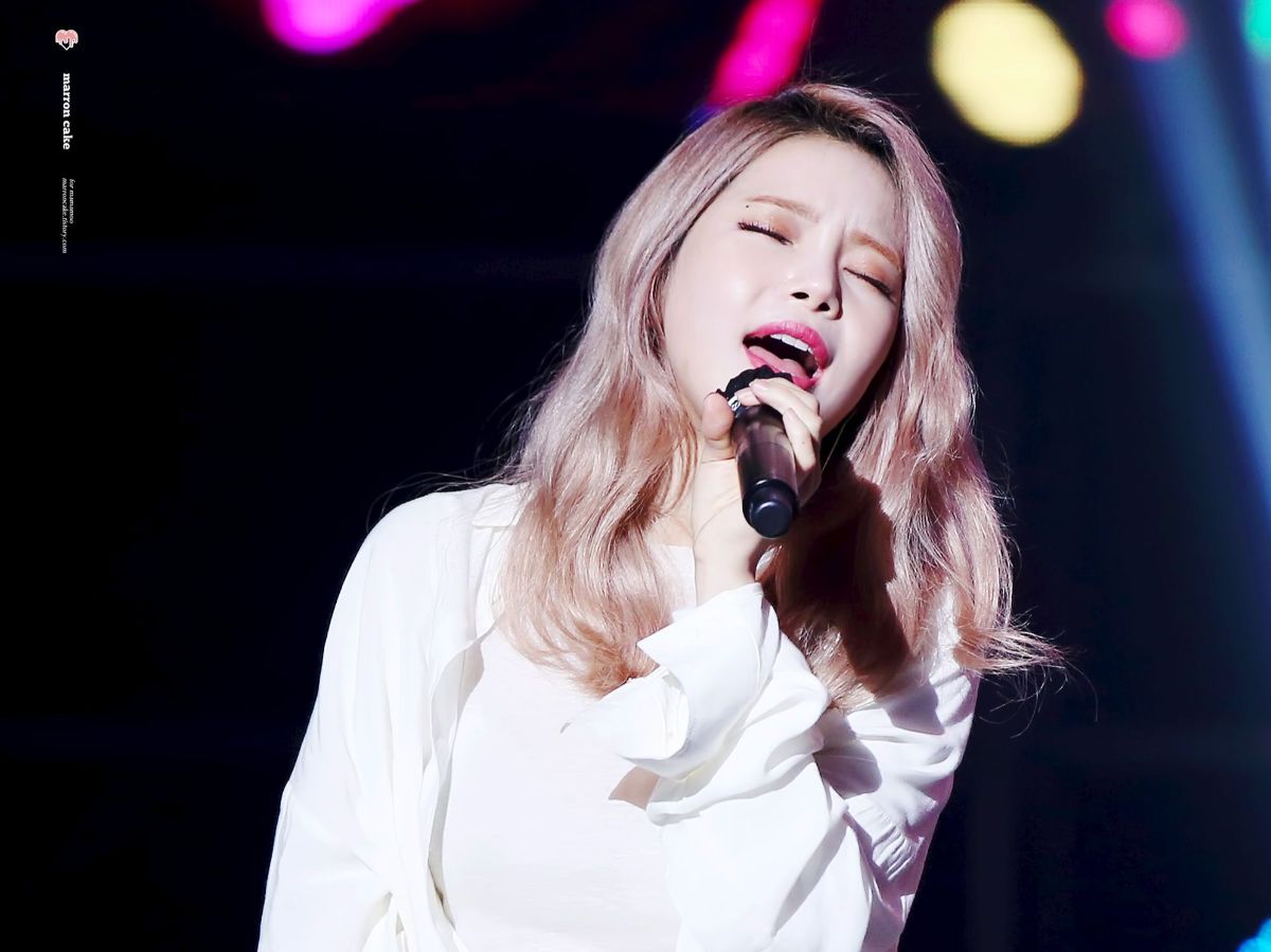 2. Solar Mamamoo