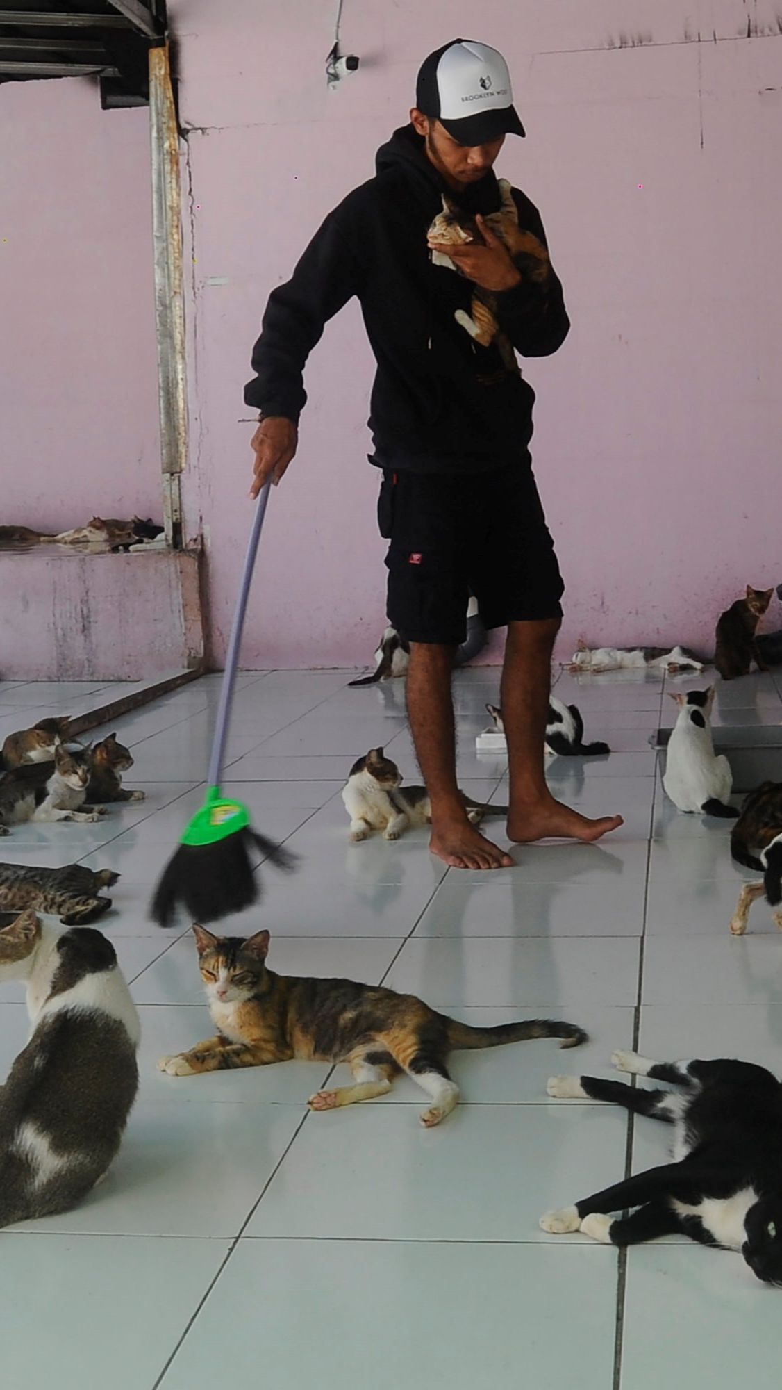 FOTO: Melihat Kondisi RSC Di Bogor, Rumah Singgah Ribuan Kucing Dan ...