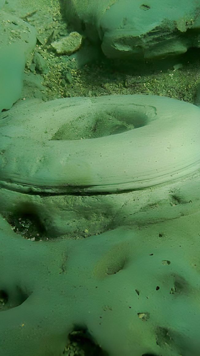 Salah satu struktur di bawah laut yang ditemukan